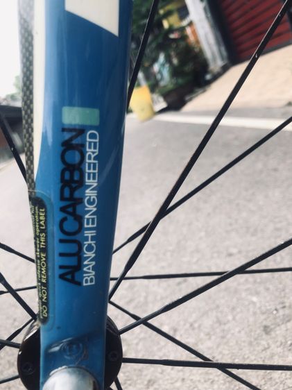 Bianchi VIANIRONE7 รูปที่ 6