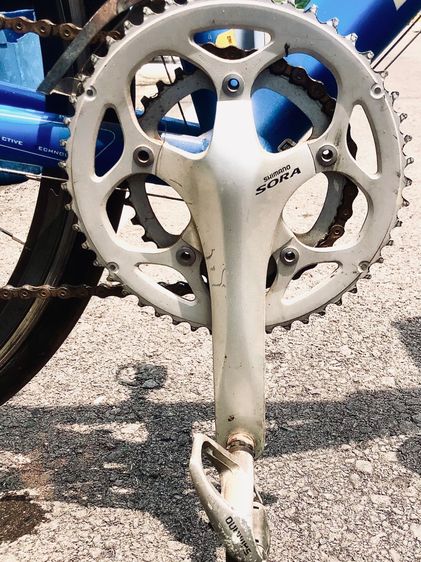 Bianchi VIANIRONE7 รูปที่ 11