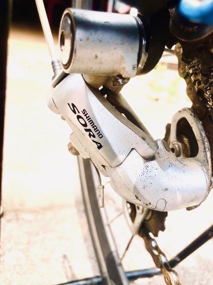 Bianchi VIANIRONE7 รูปที่ 14