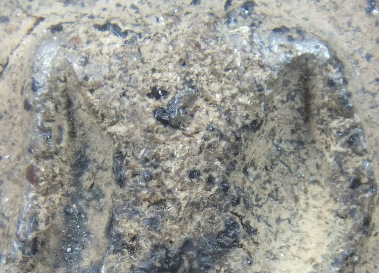 พระขุนแผนบ้านกร่าง ห้าเหลี่ยม อกใหญ่ รูปที่ 4