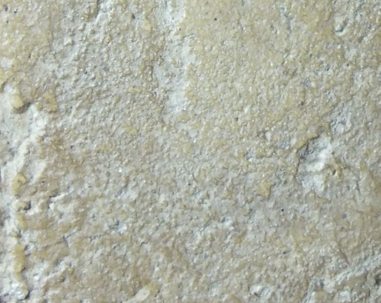 พระสมเด็จวัดระฆังพิมพ์เกศบัวตูม รูปที่ 6