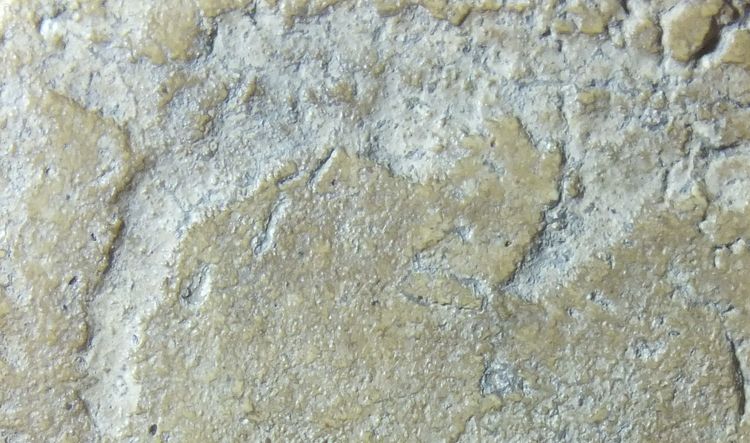 พระสมเด็จวัดระฆังพิมพ์เกศบัวตูม รูปที่ 5