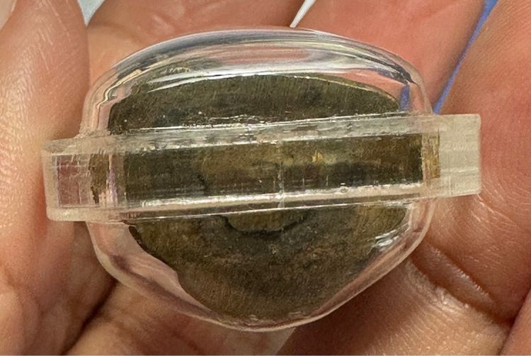 รูปหล่อโบราณ ล.ป.เอี่ยม วัดสะพานสูง รูปที่ 8