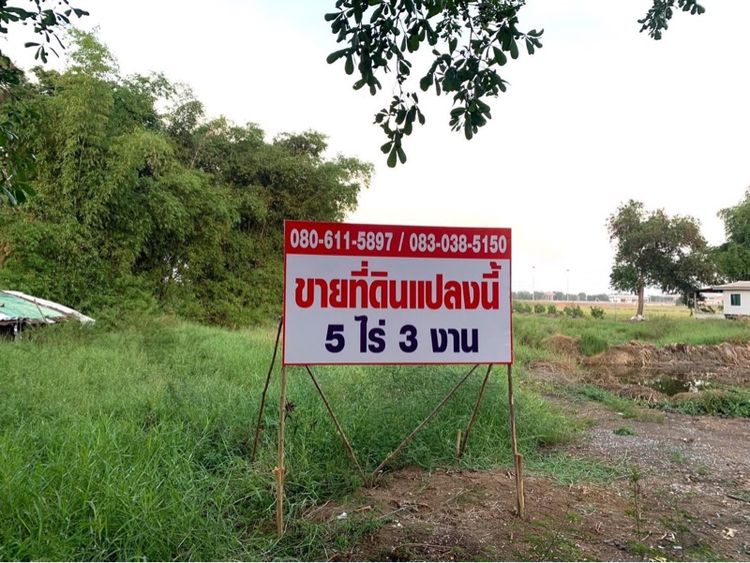 ขายที่ดิน อ.วังน้อย เนื้อที่ 5 ไร่ 3 งาน 4.5 ตรว.