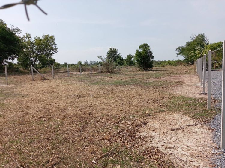 ขายด่วน ที่ดิน ต.สระกระโจม อ.ดอนเจดีย์