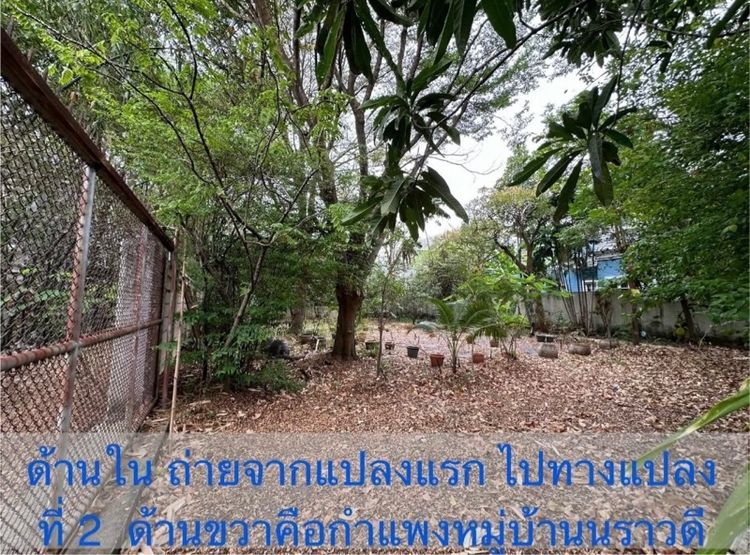 ไม่ใช่ ขายที่ดินดอนเมือง รูปที่ 3