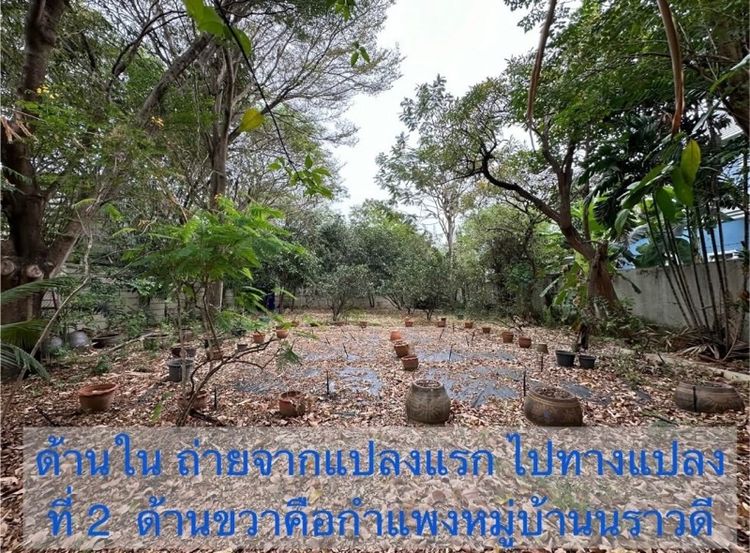 ไม่ใช่ ขายที่ดินดอนเมือง รูปที่ 4