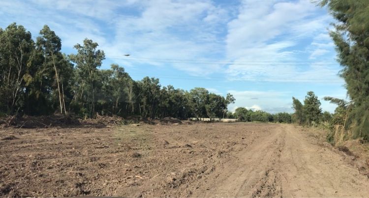 ที่ดินเปล่า