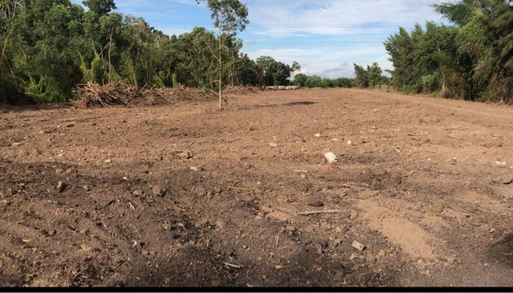 ไม่ใช่ ที่ดินเปล่า รูปที่ 2