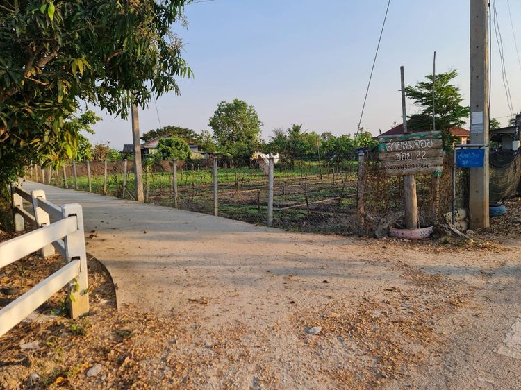 ที่ดิน สวนลำไย ต้นสัก ใกล้วัดจักรคำภิมุข