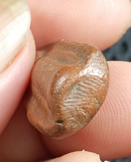 พระร่วงเปิดโลก รูปที่ 4