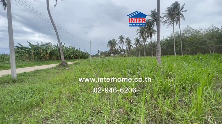 ไม่ใช่ ที่ดินเปล่า 22 ไร่ ที่ดินเปล่า ใกล้สหกรณ์โคนมอ่าวน้อย ถนนเพชรเกษม ถนนประจวบฯ-บ้านหนองเสือ เมืองประจวบคีรีขันธ์ ประจวบคีรีขันธ์ รูปที่ 4