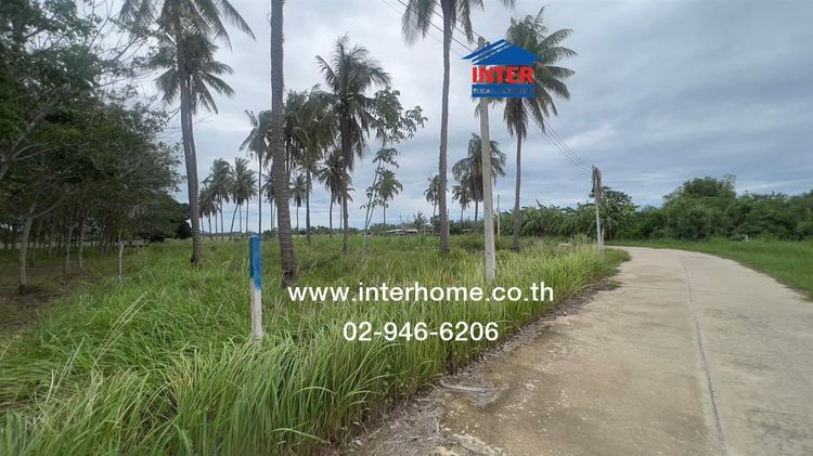 ไม่ใช่ ที่ดินเปล่า 22 ไร่ ที่ดินเปล่า ใกล้สหกรณ์โคนมอ่าวน้อย ถนนเพชรเกษม ถนนประจวบฯ-บ้านหนองเสือ เมืองประจวบคีรีขันธ์ ประจวบคีรีขันธ์