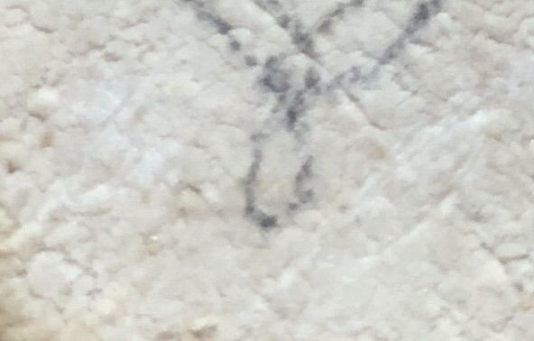 หลวงปู่ดู่ วัดสะแก รูปที่ 3