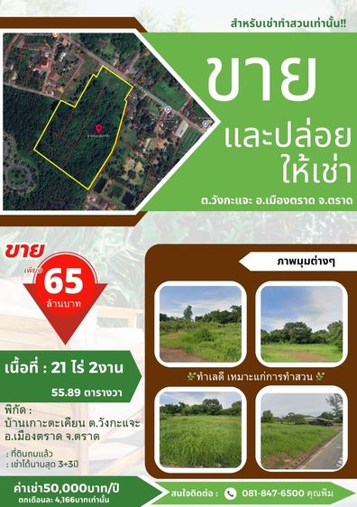 ด่วน ที่ดิน ขาย และปล่อยให้เช่า ขนาดพื้นที่ 21ไร่ 2งาน 55.8ตารางวา อ.เมืองตราด จ.ตราด 