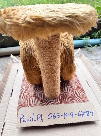 คอนโดน้องแมว  รูปที่ 2