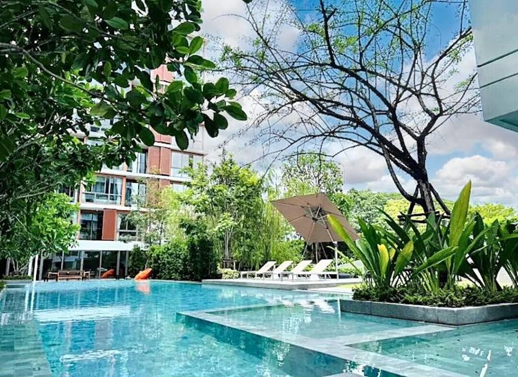 12,000 ตร.ม. 154 ห้องนอน 160 ห้องน้ำ อาคารสำหรับ ขายใน คลองเตย รูปที่ 2