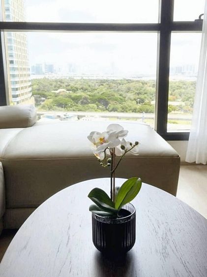 ตกแต่งครบ อื่นๆ 53 ตร.ม. 2 ห้องนอน 2 ห้องน้ำ คอนโดสำหรับ ขายใน จอมพล รูปที่ 3