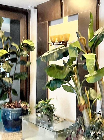 ตกแต่งครบ อื่นๆ 81 ตร.ม. 2 ห้องนอน 2 ห้องน้ำ คอนโดสำหรับ ขาย &amp; เช่าใน มักกะสัน รูปที่ 4