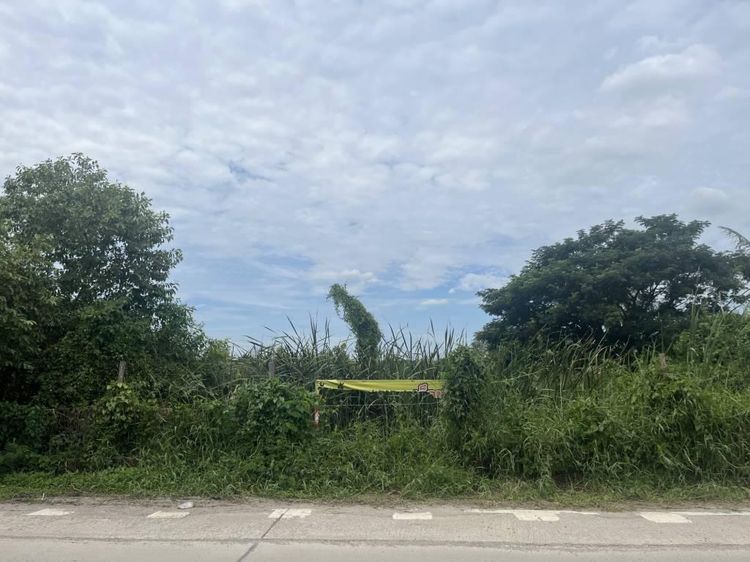 ขายที่ดิน 40 ไร่ในแขวงแสนแสบ เขตมีนบุรี รูปที่ 2