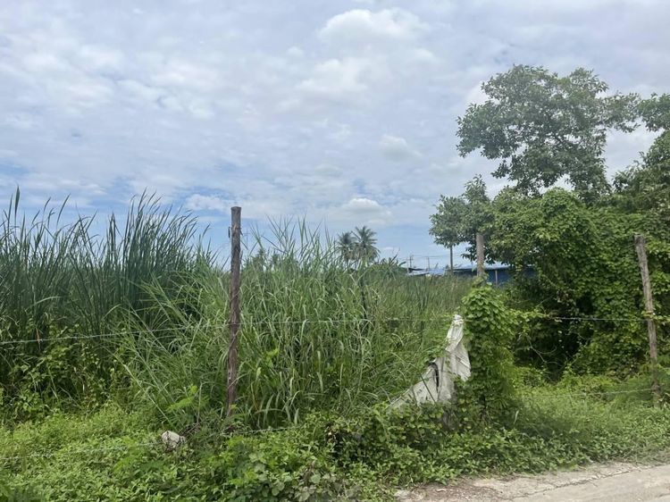 ขายที่ดิน 40 ไร่ในแขวงแสนแสบ เขตมีนบุรี