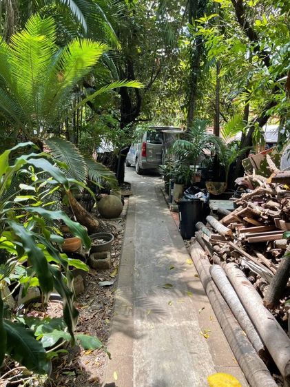 1,760 ตร.ม.ที่ดินสำหรับ ขายใน สามเสนใน รูปที่ 2