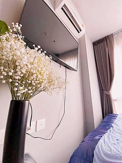 ตกแต่งครบ 2019 Ananda Development 36 ตร.ม. 1 ห้องนอน 1 ห้องน้ำ คอนโดสำหรับ ขายใน ถนนพญาไท รูปที่ 4