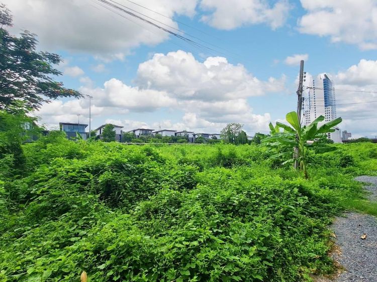 5,312 ตร.ม.ที่ดินสำหรับ ขายใน บางกะปิ รูปที่ 2