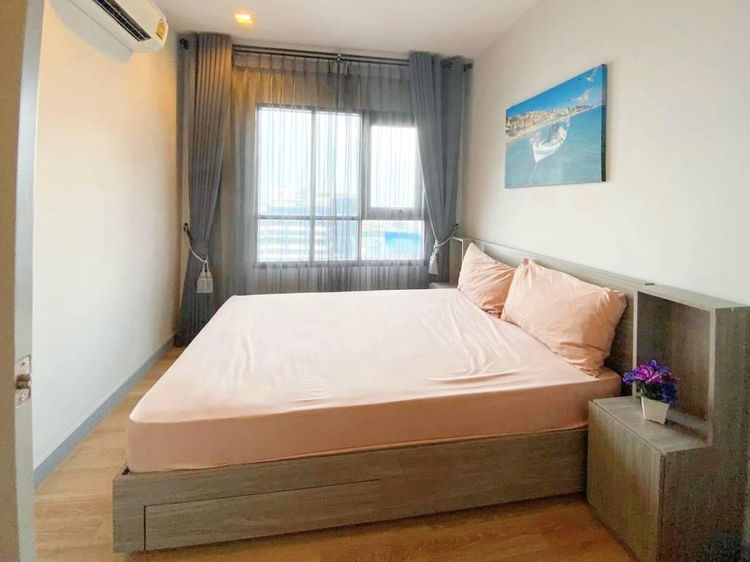 30 ตร.ม. 1 ห้องนอน 1 ห้องน้ำ คอนโดสำหรับ ขายใน จอมพล