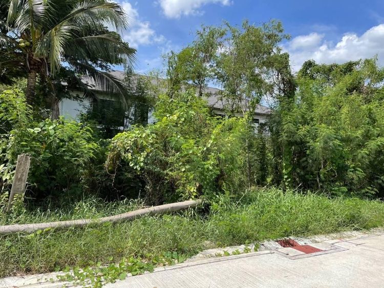 420 ตร.ม.ที่ดินสำหรับ ขายใน ทวีวัฒนา รูปที่ 2