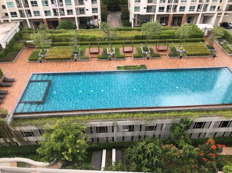 ตกแต่งครบ 2017 ขาย Supalai Wellington 2 1 ห้องนอน 1 ห้องน้ำ 42 ตารางเมตร รูปที่ 2