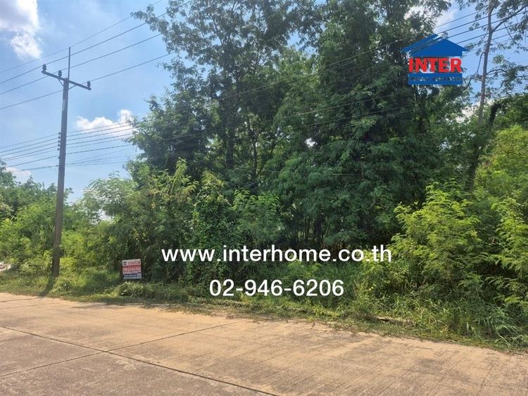 ไม่ใช่ ที่ดินเปล่า 357 ตร.ว. ที่ดิน หมู่บ้านกฤษดานคร26 ใกล้พิพิธภัณฑ์หุ่นขี้ผึ้งไทย ซอยมณฑา ถนนบรมราชชนนี นครชัยศรี นครปฐม รูปที่ 2