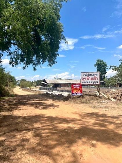 ไม่ใช่ ขายที่ดิน 9ไร่2งาน64ตารางวา ถนนวัดโตนด ตำบลบางเดื่อ อำเภอบางปะหัน จังหวัดพระนครศรีอยุธยา ราคาถูก รูปที่ 2