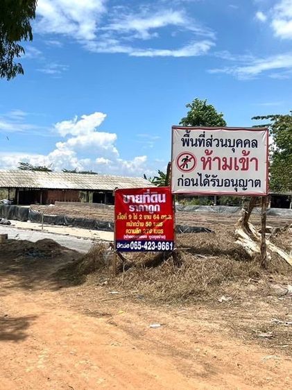 ขายที่ดิน 9ไร่2งาน64ตารางวา ถนนวัดโตนด ตำบลบางเดื่อ อำเภอบางปะหัน จังหวัดพระนครศรีอยุธยา ราคาถูก