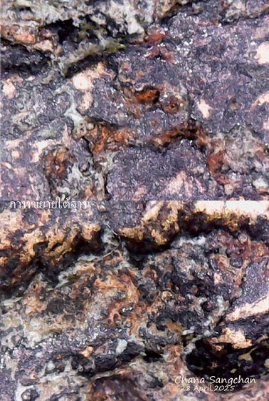 หลวงพ่อเงินบางคลาน พิมพ์ขี้ตาห้าชาย สวยจัดทุกมุม หล่อโบราณเก่าแท้ถึงยุค หายากสุดๆ รูปที่ 16