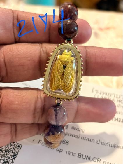 พญาภู่คำ ครูบาคำฝั้น รูปที่ 6