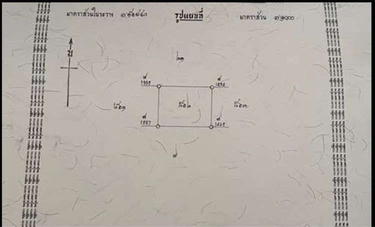 ขายที่ดินคลองหก คลองหลวง ปทุมธานี รูปที่ 3
