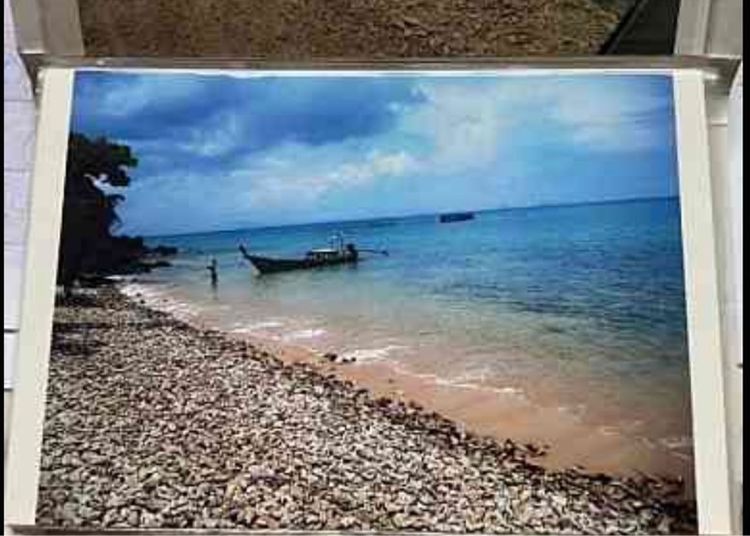 ไม่ใช่ ขายที่ดินเกาะยาวใหญ่ พังงา รูปที่ 4