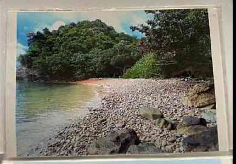 ไม่ใช่ ขายที่ดินเกาะยาวใหญ่ พังงา รูปที่ 2
