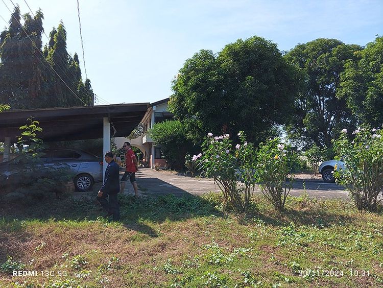 ขายบ้าน พร้อมที่ดิน 2 ไร่ 1 งาน 5 ตารางวา ต.สมอแข อ.เมือง จ.พิษณุโลก รูปที่ 2