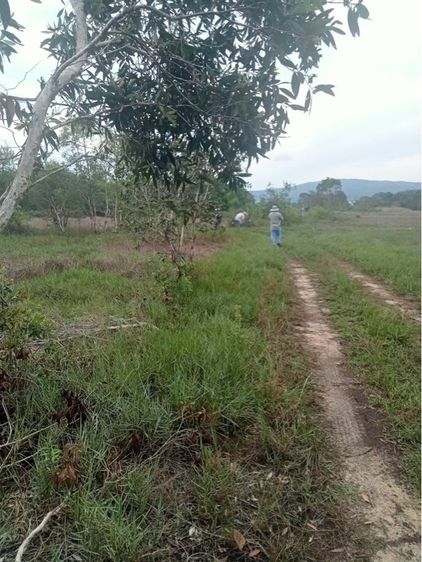 ขายที่ดิน อ.เมือง จ.สงขลา โฉนดครุฑแดง รูปที่ 4