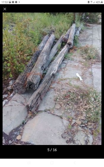 🏛.ไม้ฉำฉาหนา แห้ง. รูปที่ 14