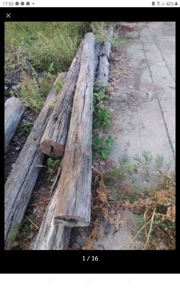 🏛.ไม้ฉำฉาหนา แห้ง. รูปที่ 13