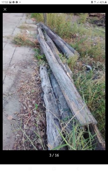 🏛.ไม้ฉำฉาหนา แห้ง. รูปที่ 12