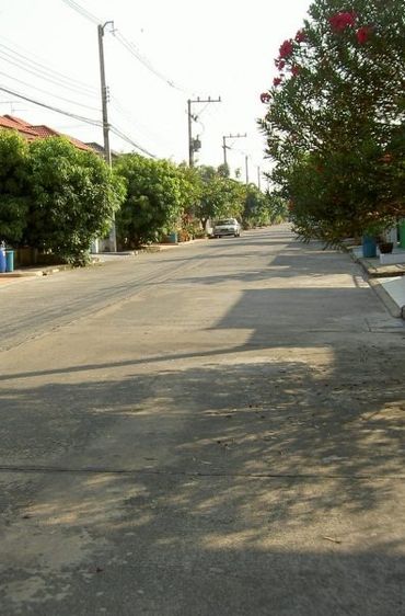 อื่นๆ ไม่มี 🏡 ขายบ้านเดี่ยว 2 ชั้น 55.4 ตรว. หมู่บ้านศุชญา คลอง 4 ถ.รังสิต-นครนายก 85  ทำเลดี เดินทางสะดวก ใกล้วงแหวน 🏡เจ้าของขายเอง ไม่รับนายหน้า  รูปที่ 2