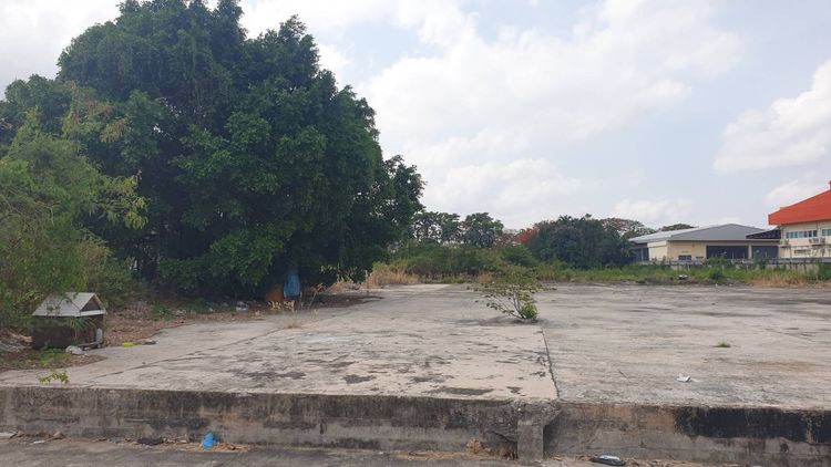 ให้เช่า ที่เปล่าถมแล้ว 6-1-91 ไร่ ติดถนนรามอินทรา กม.14 ฝั่งขาเข้า กทม. รูปที่ 3