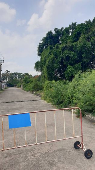 ให้เช่า ที่เปล่าถมแล้ว 6-1-91 ไร่ ติดถนนรามอินทรา กม.14 ฝั่งขาเข้า กทม. รูปที่ 2