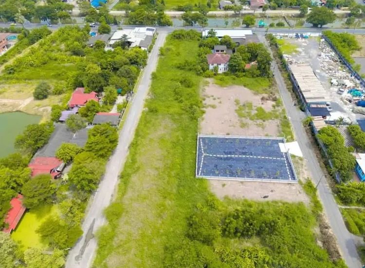 ขายที่ดินคลองหกตะวันตก55 ซอยลุงลายปทุมธานี พร้อมทำกันดินและสเตย์โดยรอบ และถมดิน2ครั้ง 80cm 200ตรว. รูปที่ 2