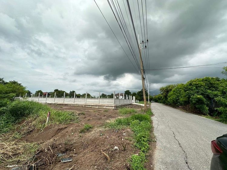 ขายที่ดินคลองหกตะวันตก55 ซอยลุงลายปทุมธานี พร้อมทำกันดินและสเตย์โดยรอบ และถมดิน2ครั้ง 80cm 200ตรว. รูปที่ 4