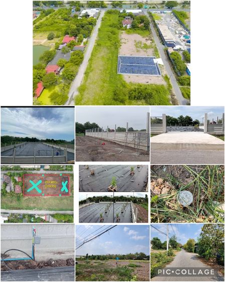 ขายที่ดินคลองหกตะวันตก55 ซอยลุงลายปทุมธานี พร้อมทำกันดินและสเตย์โดยรอบ และถมดิน2ครั้ง 80cm 200ตรว. รูปที่ 3